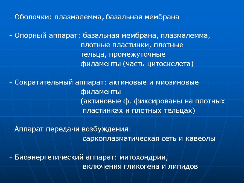 - Оболочки: плазмалемма, базальная мембрана   Опорный аппарат: базальная мембрана, плазмалемма,  